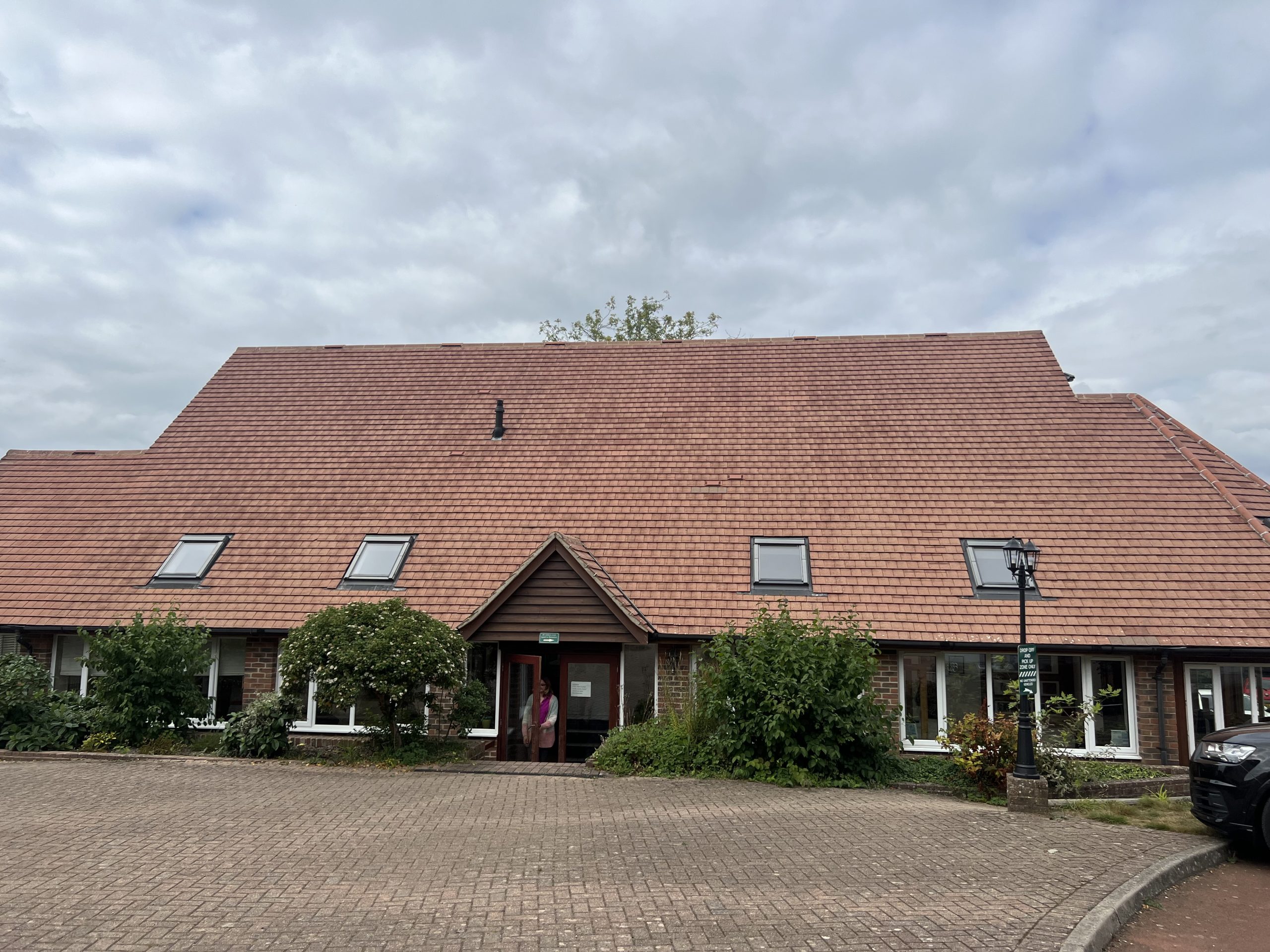 roof cleaning