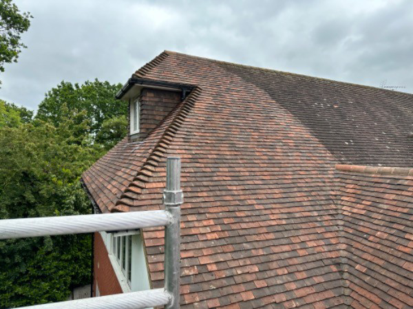 roof cleaning